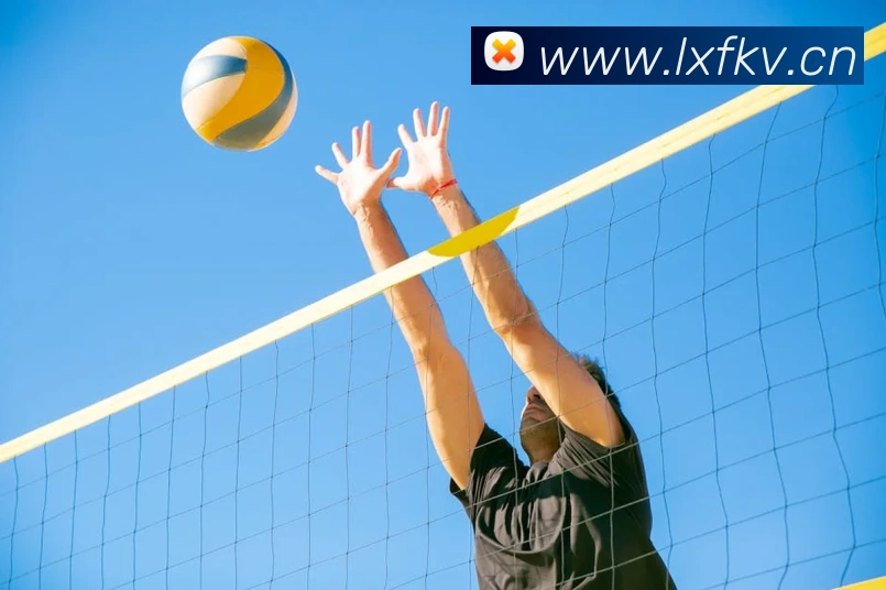 星空体育首页入口平台生态图